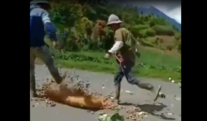 Harga Anjlok, Petani Kayu Aro Buang Kentang dan Sayur di Jalan Raya
