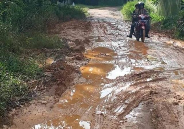 Jalan Sepajang 2 KM Serasah - Danau Serang Batanghari Berlumpur