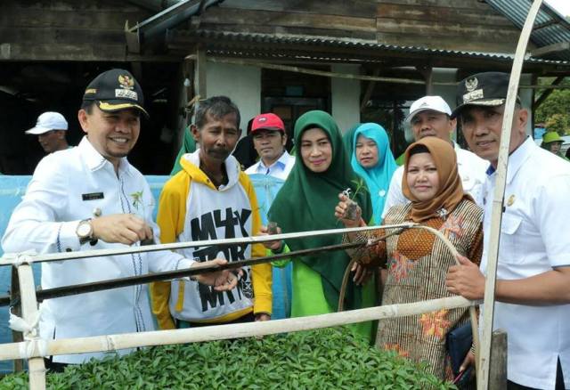 Lomba Hatinya PKK, Kerinci Wakili Jambi di Lomba Tingkat Nasional