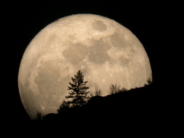 Nikmati, Sepanjang Malam Nanti Supermoon akan Hiasi Langit Indonesia