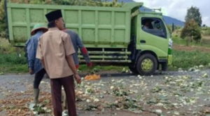Harga Anjlok, Petani Kayu Aro Buang Kentang dan Sayur di Jalan Raya