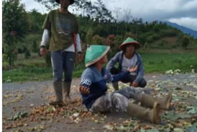 Harga Anjlok, Petani Kayu Aro Buang Kentang dan Sayur di Jalan Raya