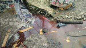 Ini Penampakan Betapa Jorok dan Kumuhnya Pasar Bedeng 8 Kayu Aro Ini Penampakan Betapa Jorok dan Kumuhnya Pasar Bedeng 8 Kayu Aro