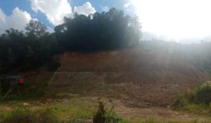 Diduga Illegal, Bukit di Karya Bakti Sungai Penuh Diruntuhkan dengan Alat Berat