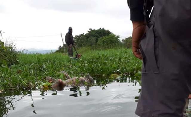 Penemuan Mayat di Danau Kerinci