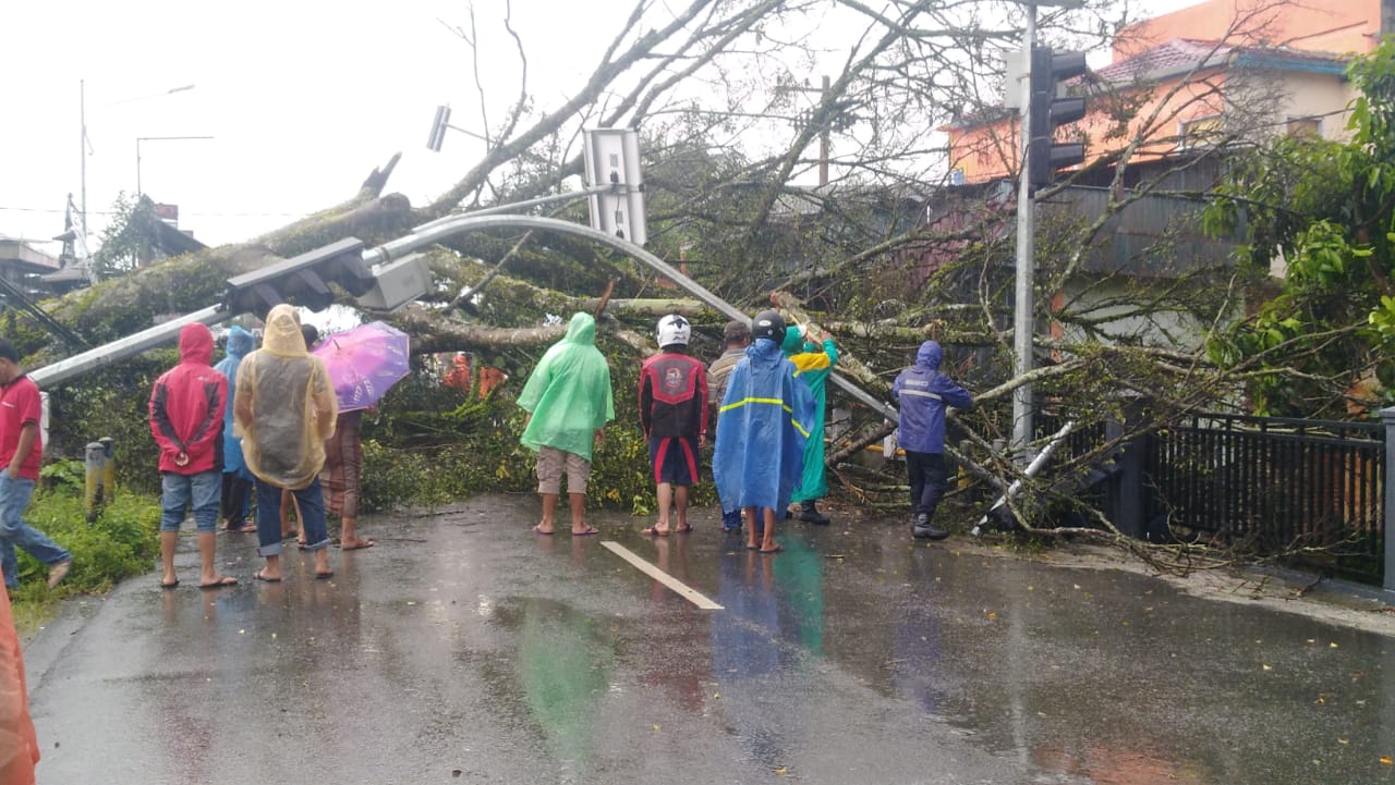 Pohon tumbang di Simpang Empat Desa Kumun Mudik Kecamatan Kumun Debai Kota Sungai Penuh