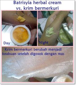 Apa itu Batrisyia Herbal?