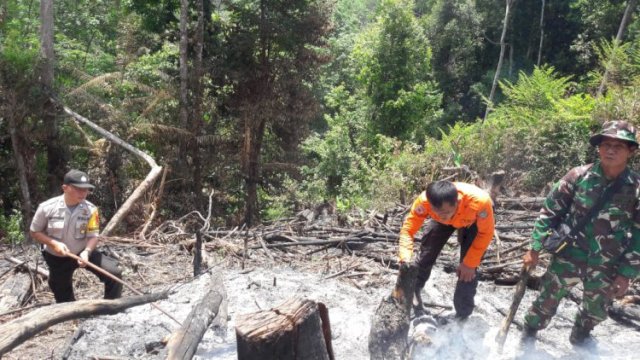 Kebakaran lahan di Merangin, petugas melakukan pemadaman. (Rhizki O/Brito.id)