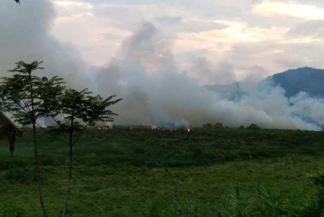 Kebakaran Lahan Gambut di Lempur Gunung Raya