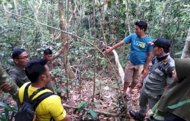 Tim BKSDA melakukan penjelajahan keberadaan Harimau Sumatera di Merangin. Foto: Brito.id