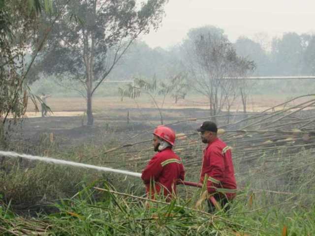 Diduga Disengaja, Sehektar Lahan Dalam Kota Jambi Terbakar