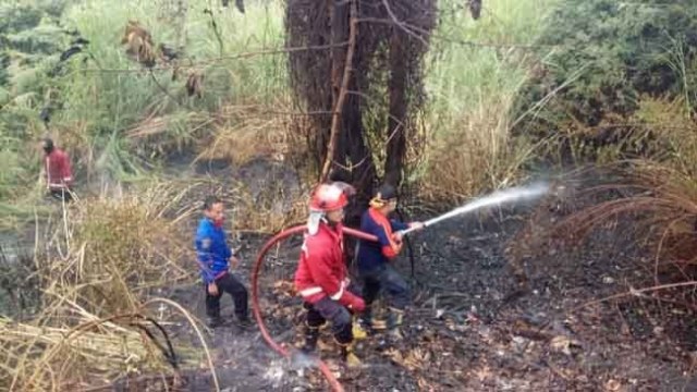 Diduga Lahan di Sungai Maram Jambi Dibakar