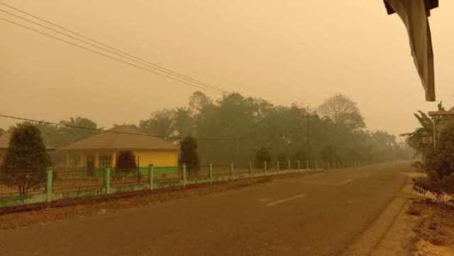 Cuaca di Kumpeh Siang Ini Kembali Terang