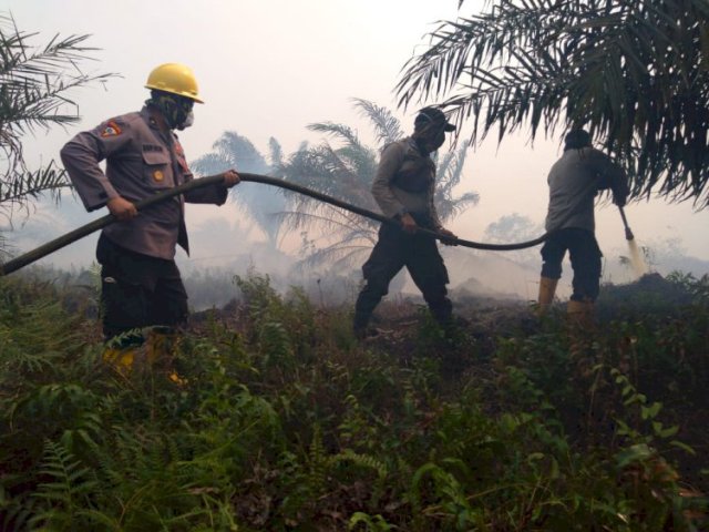 Petugas Masih Berjibaku Padamkan Api Karhutla di Muarojambi