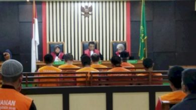 Putusan Hakim Kepada 7 Orang Penyelundup 168.400 Ekor Baby Lobster