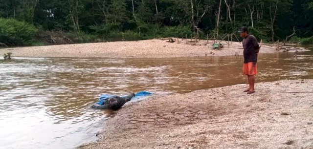 Warga Bungo Jambi Heboh Temukan Mayat Membusuk di Sungai