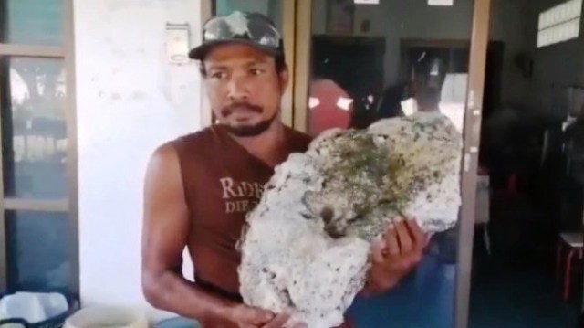 Pemulung Temukan Batu Ambergris Senilai Rp 9,1 Miliar di Pantai