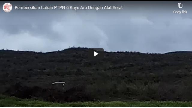 Video Pembersihan Lahan PTPN 6 Kayu Aro Dengan Alat Berat