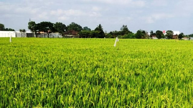 16.220 Petani di Kabupaten Mukomuko akan Menerima Kartu Tani