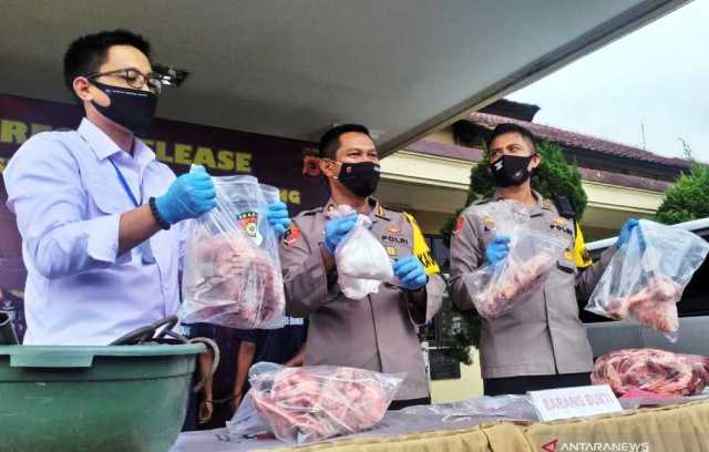 Polisi Bongkar Penjual 63 Ton Daging Babi Disulap Menjadi Daging Sapi