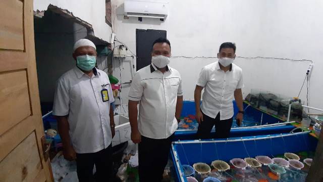 Penyelundupan Bibit Lobster Senilai 6,73 Milyar Digagalkan Ditreskrimsus Polda Jambi