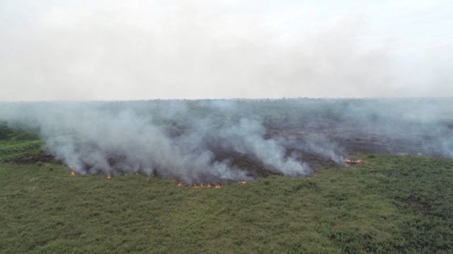 Kebakaran Hutan Ancam Muaro Jambi, Lahan HGU PT Kharisma Terbakar