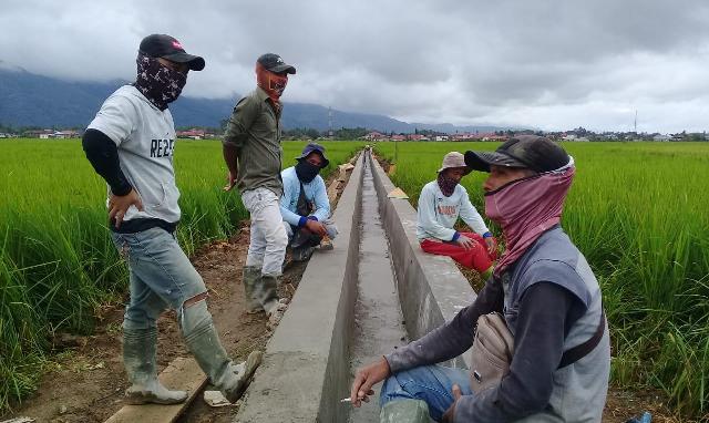 Peran Perkumpulan Petani Pemakai Air Tingkatkan Hasil Produksi