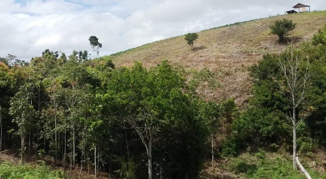 Mencuat Anggaran Rp. 5.4 Miliar Pengadaan Tanah Rumdis Bupati Kerinci 2018