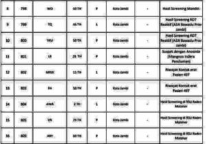 Ini Data 22 Pasien Covid-19 Jambi