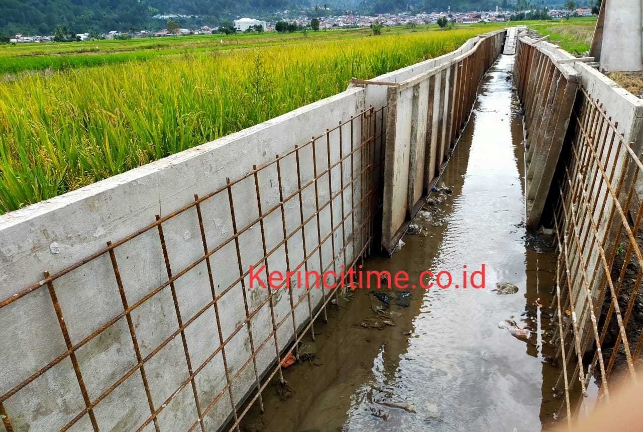 Dinilai Kurang Pengawasan, Proyek DI Desa Gedeng Tuai Sorotan