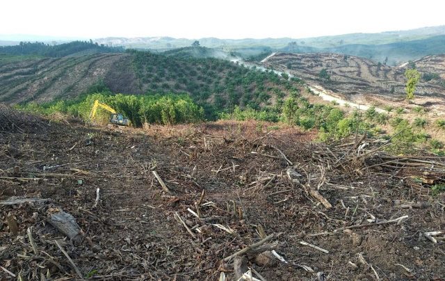 PT WKS Serobot Lahan Masyarakat, Petani Tuntut Keadilan