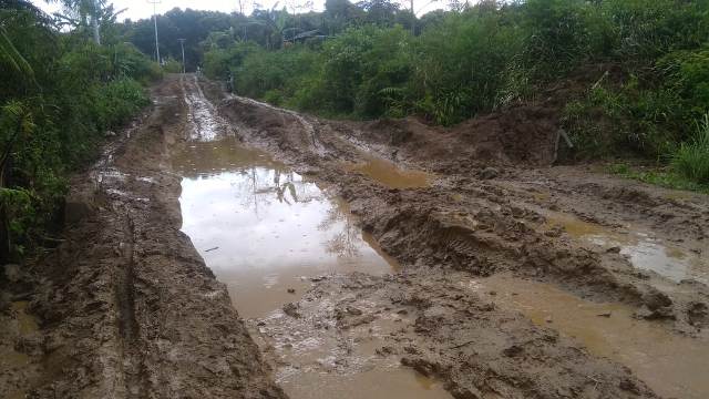 Pak Adirozal! Ini Kondisi Jalan Pasir Jaya – Sungai Kuning Renah Pemetik Kerinci