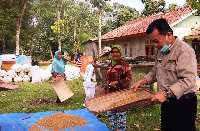 Singgah Nampi Beras di Betung Bedarah, Emak-emak: Bapak Ini Orang Dusun Jugo