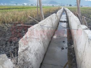 Ini Penampakan Proyek Drainase Desa Gedang Seniali Rp. 3.7 M yang Dinilai Asal-asalan