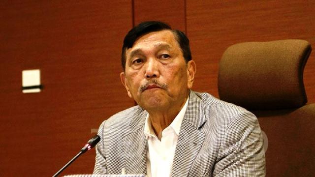 Luhut: Pasokan Vaksin Corona Sudah Siap