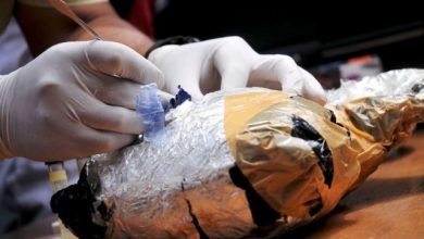 150 Kg Sabu Berhasil Diamanakn Polda Jambi Selama 2020