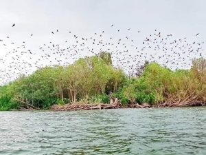 Well Come to Desa Koto Tuo Ujung Pasir