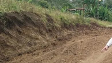 Proyek Jalan Sungai Lintang Kayu Aro Diduga Milik Oknum Anggota DPRD Kerinci
