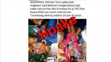 HOAKS, Beredar Foto Bayi Selamat Kecelakaan Sriwijaya Air SJ 182