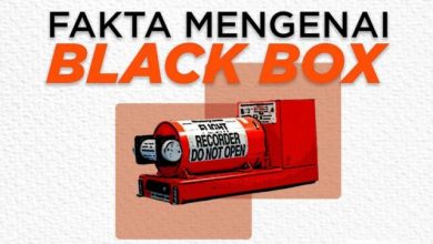 7 Fakta Black Box 7 Fakta Black Box