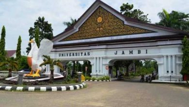 Mahasiswi Unja Sabet Peringkat 2 Lomba Karya Ilmiah Tingkat Nasional Mahasiswi Unja Sabet Peringkat 2 Lomba Karya Ilmiah Tingkat Nasional