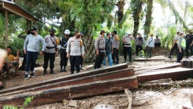 Polisi Amankan Ratusan Kayu Meranti Tanpa Dokumen