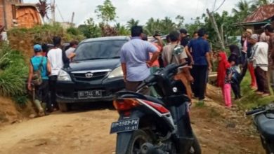 Heboh! Warga Pematang Pauh Jangkat Timur Tertimpa Pohon Heboh! Warga Pematang Pauh Jangkat Timur Tertimpa Pohon