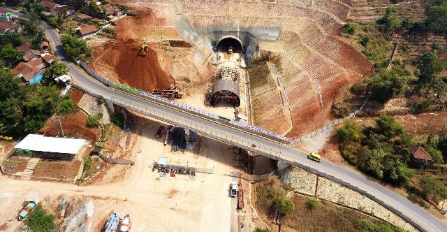 Akan Dibangun Terowongan Khusus Satwa Liar di Tol Sumsel-Jambi