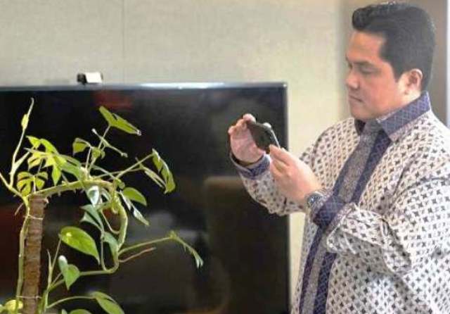 Janda Bolong Koleksi Erick Thohir Ditawar Netizen, Berapa Harganya?