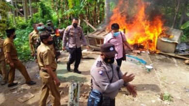 Kapolsek dan Camat Kota Baru Bongkar Gelanggang Judi Sabung Ayam Kapolsek dan Camat Kota Baru Bongkar Gelanggang Judi Sabung Ayam