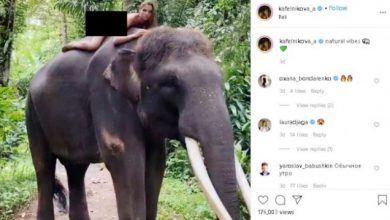 Heboh!!! Influencer Rusia Pose Telanjang Naik Gajah di Bali