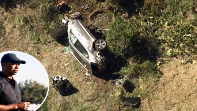 Pegolf Nomor 1 Dunia Tiger Woods Kecelakaan