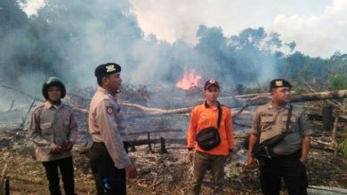 Kabupaten Batang Hari Penyumbang Asap Terbanyak Tahun 2015 dan 2019 Kabupaten Batang Hari Penyumbang Asap Terbanyak Tahun 2015 dan 2019