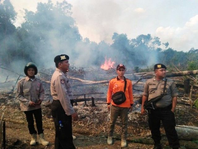 Kabupaten Batang Hari Penyumbang Asap Terbanyak Tahun 2015 dan 2019